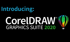 Corel Draw graphic suite 20(Perpetual)